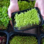 Design-ohne-Titel-20