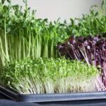 e56591_3c80d38e22ff4b269678aa53f7993f22~mv2